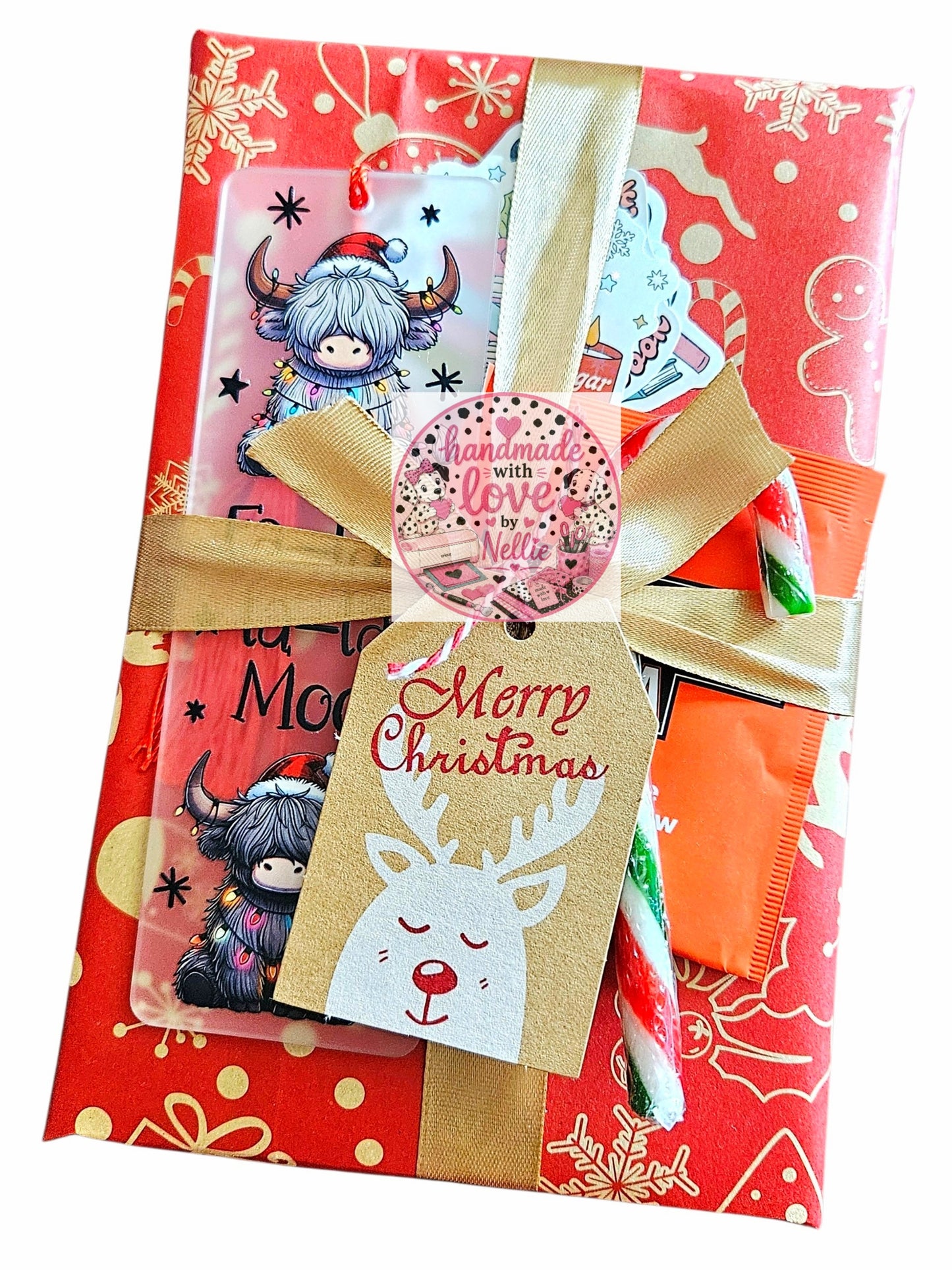 Christmas Blind Date With a Book